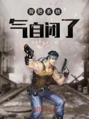 我把系统气自闭了