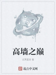 高墙之巅