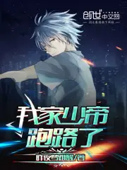 我家少帝跑路了
