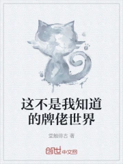 这不是我知道的牌佬世界