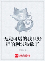 无龙可屠的我只好把哈利波特砍了