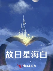 故曰星海白