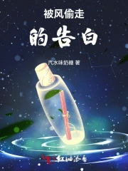被风偷走的告白