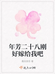 年芳二十八刚好嫁给我吧