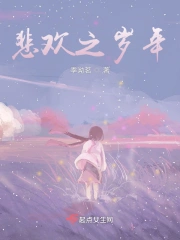 悲欢之岁年
