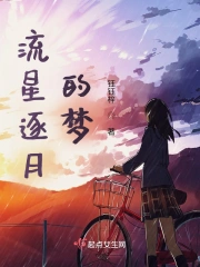 流星逐月的梦