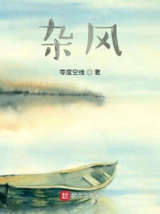 杂风