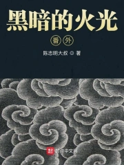 暗火之清洗