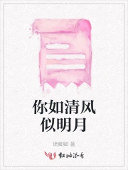 你如清风似明月