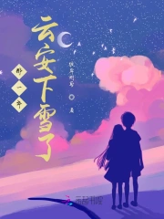 那一年，云安下雪了