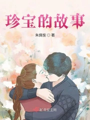 珍宝的故事