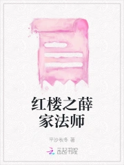 红楼之薛家法师