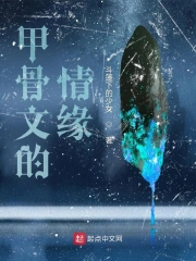 甲骨文的情缘