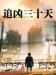 追凶三十天