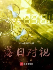 落日对视