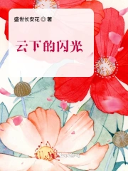 云下的闪光