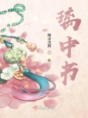 璃中书
