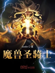 魔兽争霸之圣骑士