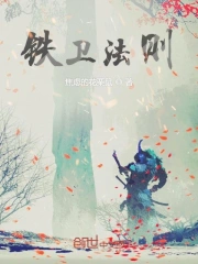 铁卫法则