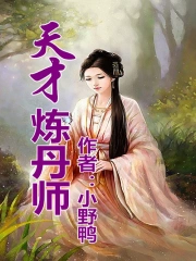 天才炼丹师