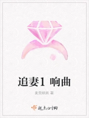 追妻交响曲