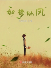 如梦似风