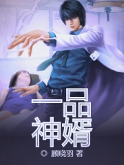 一品神婿