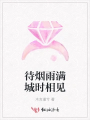 待烟雨满城时相见