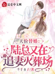 天价替婚：陆总又在追妻火葬场