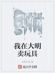 我在大明卖玩具