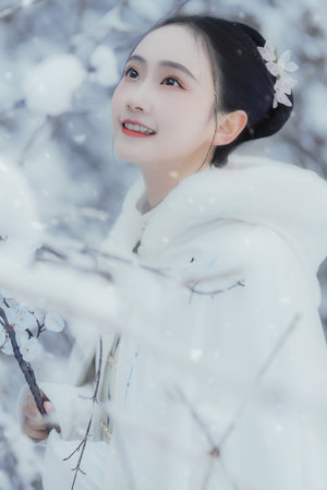 职场女神志