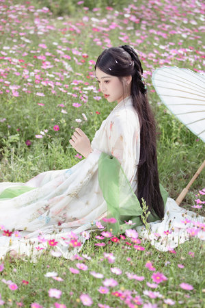 无限仙凰道