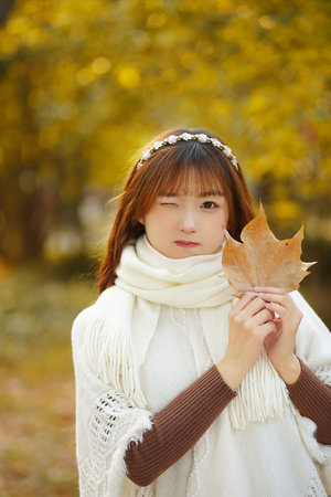 与君共请折花枝
