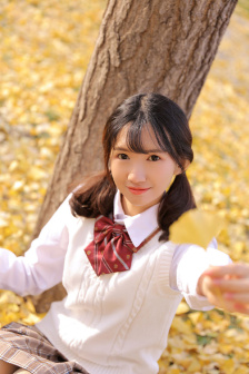 小丑循环