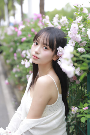 重生之文坛女王