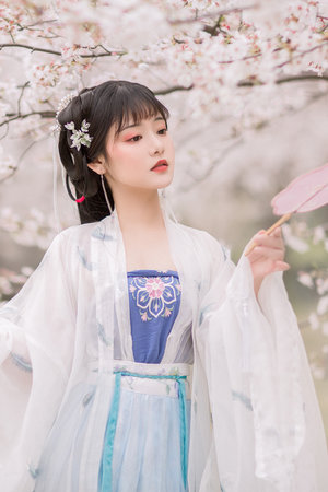 梵罗书页