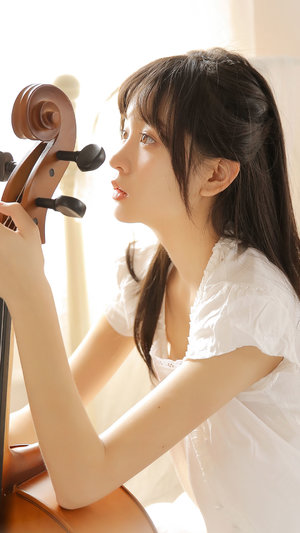 梦之伙伴模式
