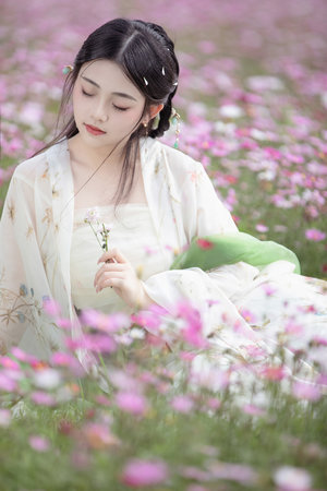 娱乐圈之天降紫微星