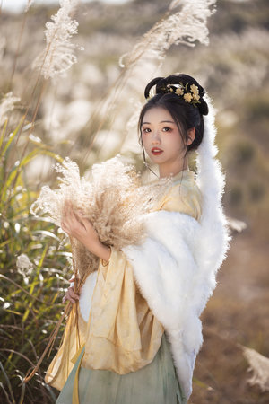 潮流之争
