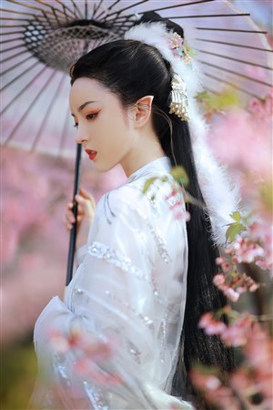 斗罗：有神雕武功的我成为了圣师