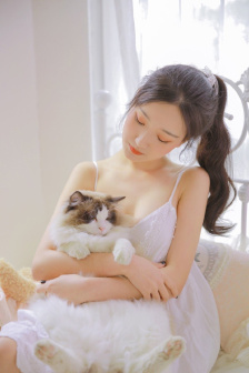 七曜轮回英雄谈