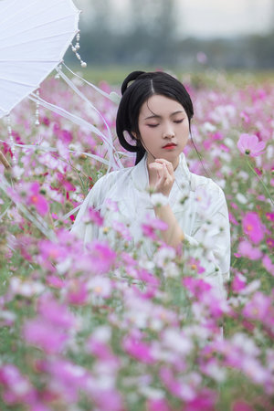 妖界纵横